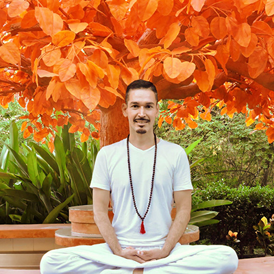 Sivananda Yoga T-shirt. Peace, Love, Yoga Long Sleeves - Sivananda Yoga  Vedanta Center NYC